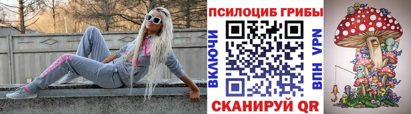 Псилоцибиновые грибы прущие грибы Тюмень